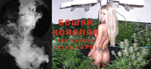 apvp Новозыбков