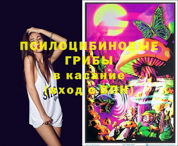 соль курить ск Аркадак