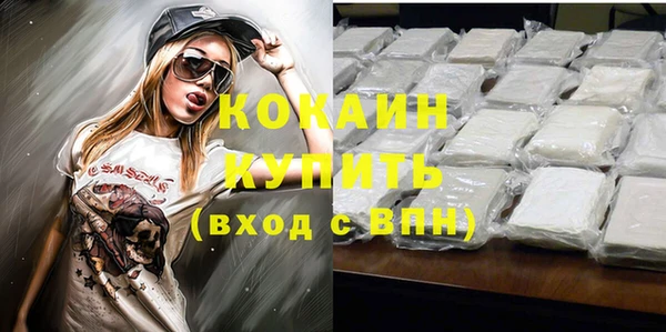 кокс Арсеньев