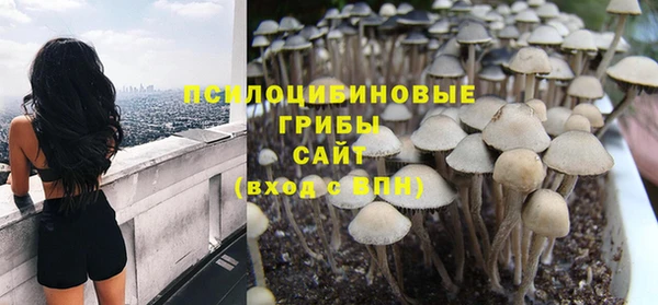 apvp Новозыбков