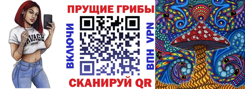 блэк спрут ONION  Большой Камень  Псилоцибиновые грибы Psilocybine cubensis 